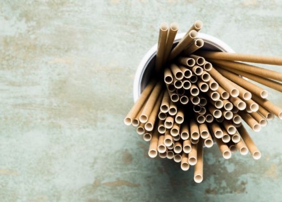 bio-degradable paper-straws-made-in-malaysia