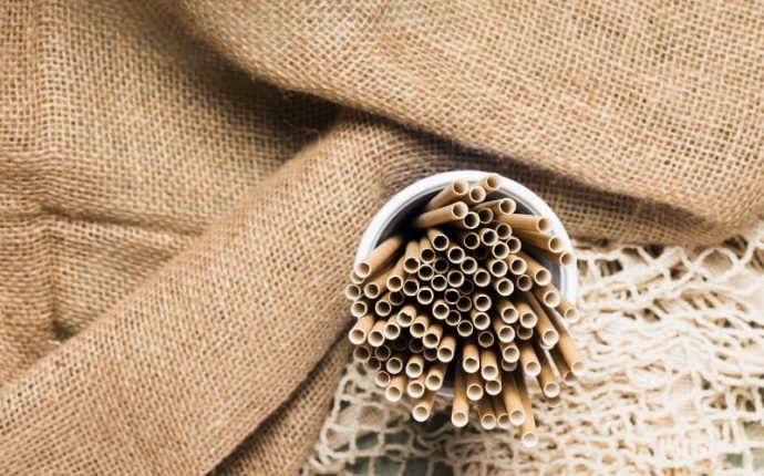paper-straws-vs-plastic straw
